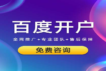 SEM推广实战：案例分析及效果评估
